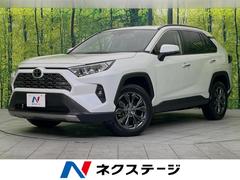 トヨタ　ＲＡＶ４　Ｇ　９インチディスプレイオーディオ　全周囲カメラ　レーダークルーズ