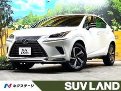 レクサス　ＮＸ　ＮＸ３００　スパイス＆シック　禁煙車　１０．３インチナビ