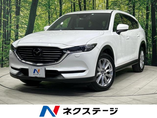 ＣＸ－８　広島県 禁煙車　レーダークルーズコントロール　マツダコネクトナビ　バックカメラ