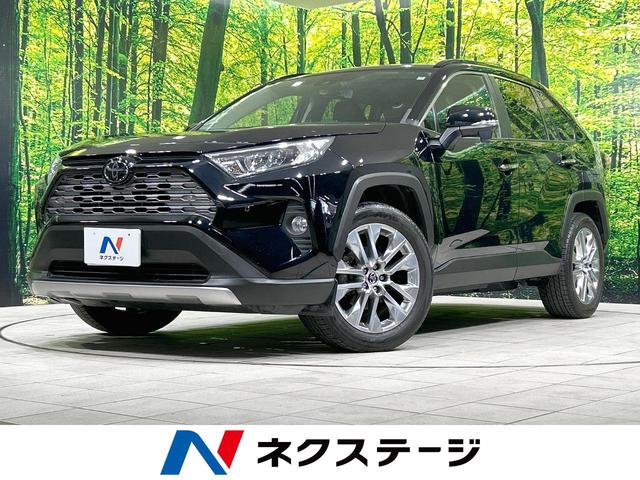 ＲＡＶ４　茨城県 衝突軽減システム　純正ＳＤナビ　フルセグＴＶ　Ｂｌｕｅｔｏｏｔｈ再生