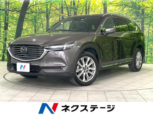 ＣＸ－８　北海道 全周囲カメラ　レーダークルーズコントロール　ＥＴＣ　Ｂｌｕｅｔｏｏｔｈ再