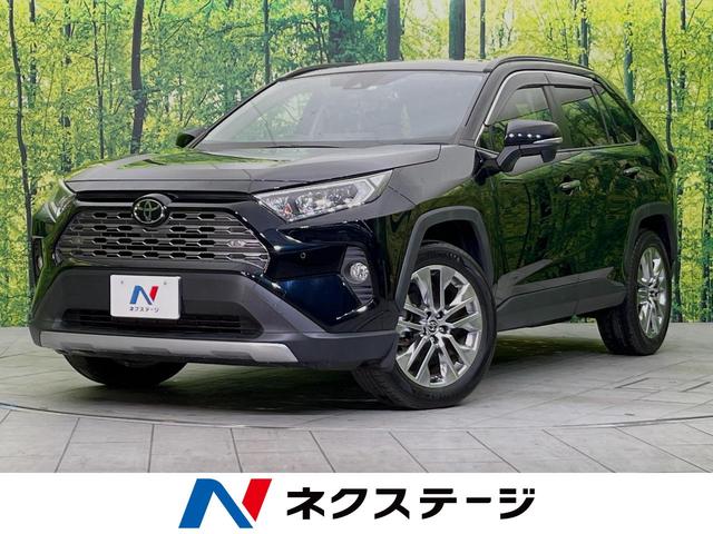 ＲＡＶ４　新潟県 純正ＳＤナビ　レーダークルーズ　禁煙車　バックカメラ　Ｂｌｕｅｔｏｏｔｈ