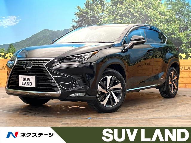 ＮＸ(レクサス) ＮＸ３００ｈ　バージョンＬ　禁煙車　１０．３型メーカーナビ　全周囲カメラ　パワーバックドア　赤革シート 中古車画像