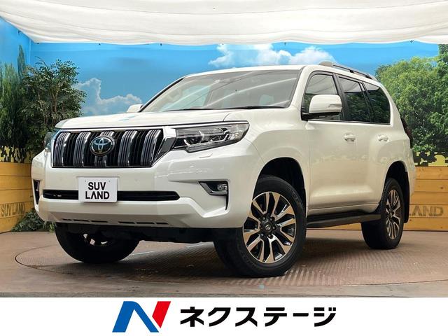 ＴＸ　Ｌパッケージ　サンルーフ　純正９インチナビ　寒冷地仕様　７人乗り　パノラミックビューモニター　レーダークルーズコントロール　パワーシート　シートベンチレーション　ＬＥＤヘッドライト／フロントフォグ