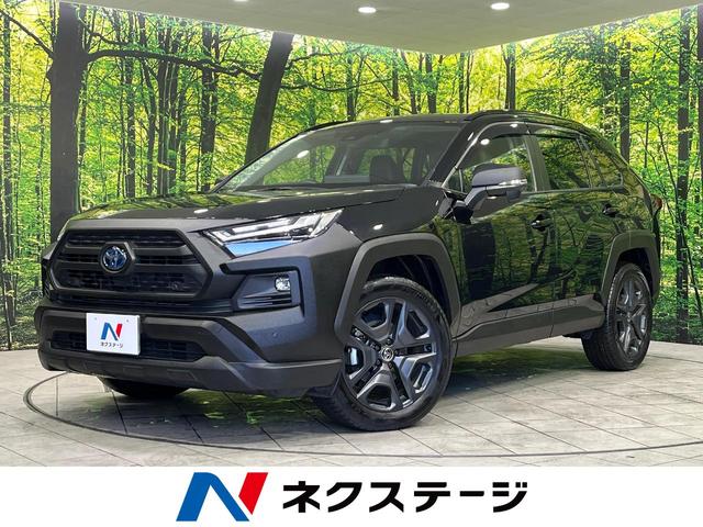 ＲＡＶ４(トヨタ) ハイブリッドアドベンチャー　４ＷＤ　パノラマムーンルーフ　純正１０．５型ディスプレイオーディオ　パワーバックドア　ステアリングヒーター　シートヒーター 中古車画像