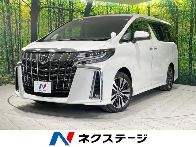２．５Ｓ　Ｃパッケージ　７人乗り　ツインルーフ　後席モニター　純正９型ナビ　バックカメラ　衝突軽減　レーダークルーズ　両側電動スライド　フルセグ　Ｂｌｕｅｔｏｏｔｈ　デジタルインナーミラー　ブラインドスポットモニター