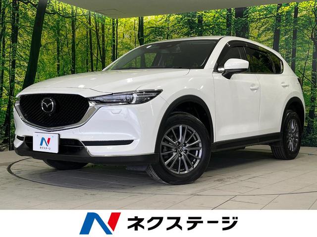 ２５Ｓ　プロアクティブ　４ＷＤ　禁煙車　アドバンストスマートシティブレーキサポート　全周囲カメラ　純正ナビ　レーダークルーズ　レーンキープ　パワーシート　シートヒーター　パワーバックドア　ＬＥＤヘッド　オートライト　ＥＴＣ