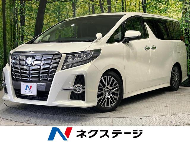 ２．５Ｓ　Ｃパッケージ　サンルーフ　ＢＩＧＸ１１型ナビ　フリップダウンモニター　プリクラッシュセーフティ　レーダークルーズ　両側電動ドア　パワーバックドア　バックカメラ　ＬＥＤヘッド　オートライト　スマートキー　ＥＴＣ