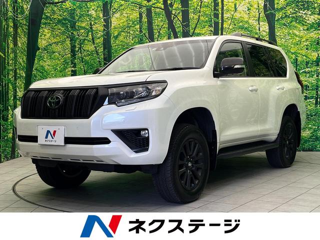 ＴＸ　Ｌパッケージ　マットブラックエディション　４ＷＤ　サンルーフ　純正９型ナビ　パノラミックビューモニター　ブラインドスポットモニター　リアクロストラフィックアラート　ミラー一体型ドライブレコーダー　ＥＴＣ　ＬＥＤヘッド