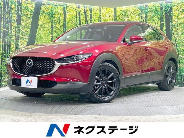 ＸＤ　Ｌパッケージ　純正８型ナビ　全周囲カメラ　ＢＯＳＥサウンド　革シート　衝突軽減　シートヒーター　パワーバックドア　メモリー付パワーシート　ステアリングヒーター　ＬＥＤヘッド　ドラレコ　ＥＴＣ　純正１８インチＡＷ