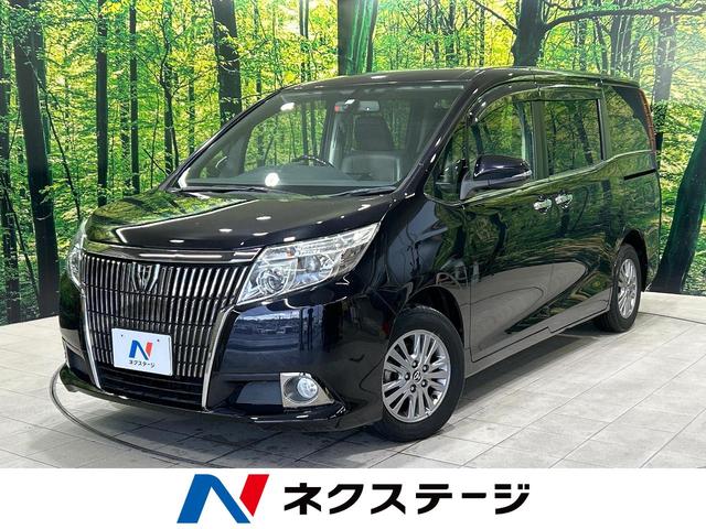 Ｇｉ　禁煙車　ＢＩＧ－Ｘ１０型ナビ　両側電動スライドドア　バックカメラ　ＥＴＣ　Ｂｌｕｅｔｏｏｔｈ　フルセグ　シートヒーター　ハーフレザーシート　ＬＥＤヘッドライト　オートマチックハイビーム　スマートキー