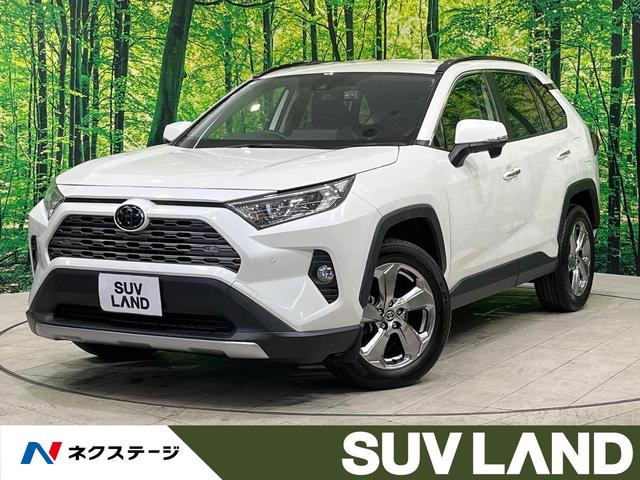 ＲＡＶ４(トヨタ) Ｇ　禁煙車　９型ナビ　フルセグ　バックカメラ　電動リアゲート　レーダークルーズコントロール 中古車画像