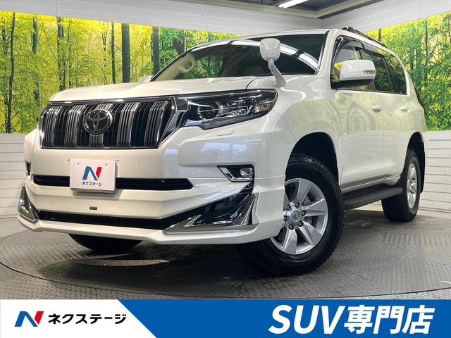 【2024春夏新作】 207S.R・1/30 ランドクルーザー プラド 前期 カラーサンプル ミニカー