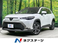 ȥ西饯ڡѥΥޥ롼աХå顡եƥ