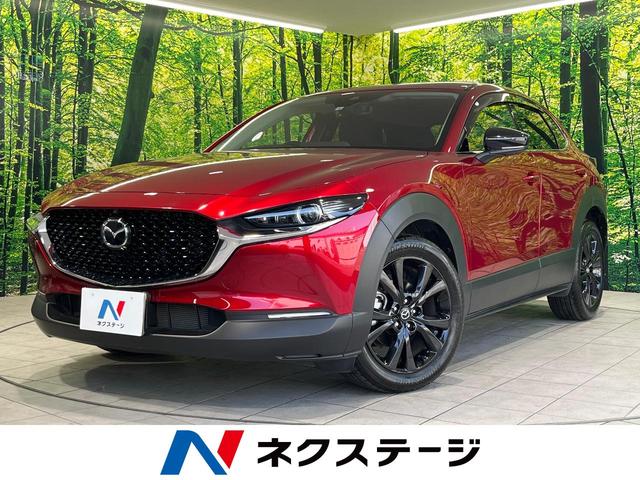 ２０Ｓ　ブラックトーンエディション　禁煙車　メーカーナビ　衝突軽減装置　全周囲カメラ　レーダークルーズ　電動リヤゲート　ＬＥＤヘッド＆フォグ　純正１８インチＡＷ　ＣＤ／ＤＶＤ再生　アイドリングストップ　ＥＴＣ　オートエアコン
