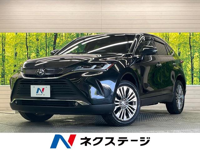 Ｚ　禁煙車　純正１２．３型ナビＴＶ　パノラミックビューモニター　ＪＢＬサウンド　ハンズフリーパワーバックドア　セーフティセンス　レーダークルーズ　レーントレーシングアシスト　ＢＳＭ　ＣａｒＰｌａｙ　ＥＴＣ
