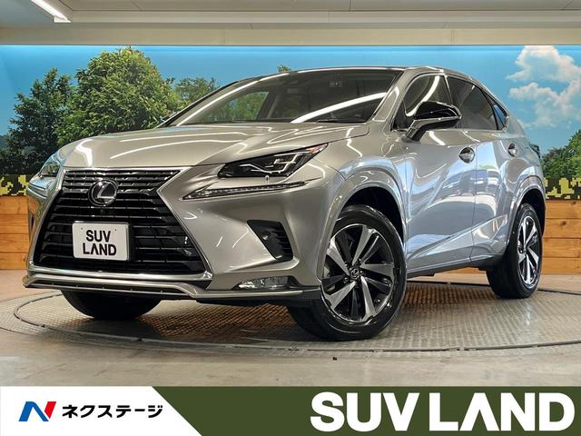 ＮＸ３００ｈ　スパイス＆シック　パノラマルーフ　セーフティシステムプラス　パノラミックビューモニター　ブラインドスポットモニター　シートヒーター　Ｂｌｕｅｔｏｏｔｈ再生　パワーバックドア　革巻きステアリング　パドルシフト