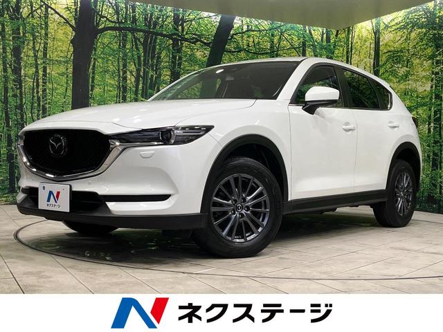 ＸＤ　プロアクティブ　４ＷＤ　ターボ　純正ナビ　禁煙車　バックカメラ　衝突軽減装置　レーダークルーズ　パワーバックドア　シートヒーター　パワーシート　コーナーセンサー　レーンキープ　スマートキー　ＬＥＤヘッド