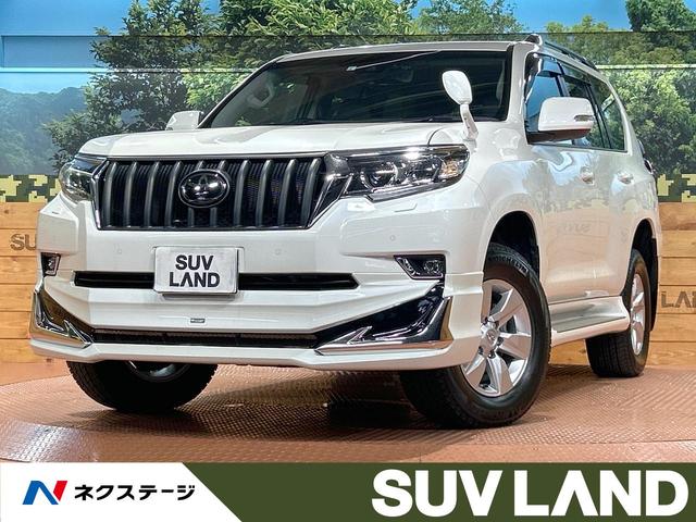 ＴＸ　Ｌパッケージ　禁煙車　モデリスタエアロ　サンルーフ　ＢＩＧＸ１１型ナビ　７人乗り　黒革　バックカメラ　ルーフレール　レーダークルーズ　シートエアコン　パワーシート　デジタルインナーミラー　ＥＴＣ　オートハイビーム