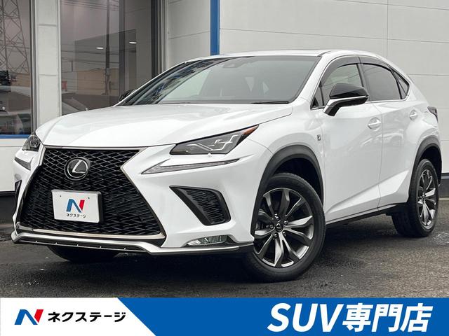 ＮＸ３００　Ｆスポーツ　ムーンルーフ　１０型メーカーナビ　バックカメラ　衝突被害軽減システム　レーダークルーズ　禁煙車　レザーシート　前席シートエアコン　コーナーセンサー　三眼ＬＥＤヘッドライト　ＥＴＣ２．０
