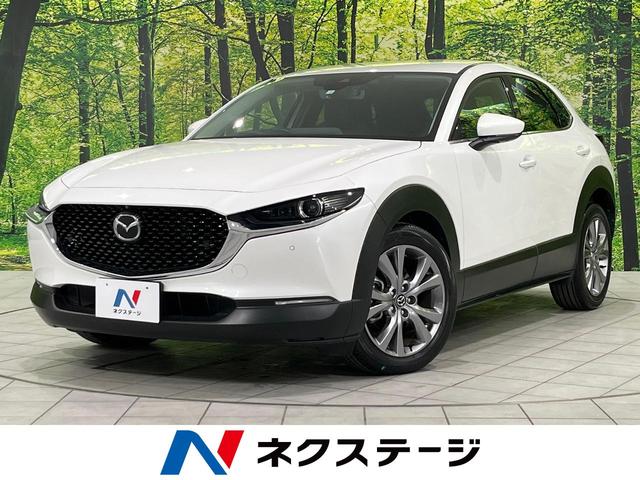２０Ｓ　プロアクティブ　ツーリングセレクション　ｉ－ＡＣＴＩＶＥＳＥＮＳＥ　禁煙車　純正ナビ　全周囲カメラ　レーダークルーズ　ＥＴＣ　Ｂｌｕｅｔｏｏｔｈ　フルセグ　ドライブレコーダー　シートヒーター　メモリー機能付きパワーシート　パワーバックドア