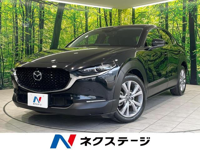 ２０Ｓ　Ｌパッケージ　禁煙車　メーカーナビ　衝突軽減装置　全周囲カメラ　レーダークルーズ　電動リヤゲート　シートヒーター　ステアリングヒーター　パドルシフト　ＥＴＣ　プッシュスタート＆スマートキー　純正１８インチＡＷ