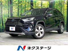 トヨタ　ＲＡＶ４　ハイブリッドＧ　４ＷＤ　純正９インチナビ　バックカメラ
