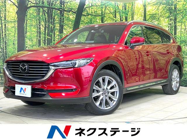 ＣＸ−８(マツダ) ＸＤプロアクティブ　Ｓパッケージ　禁煙車　全周囲カメラ　メーカーナビ　衝突軽減　６人乗り 中古車画像