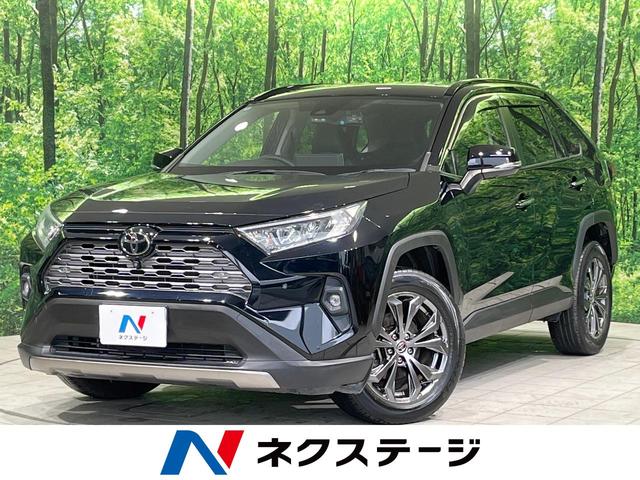 ＲＡＶ４(トヨタ) Ｇ　純正９型ナビ　全周囲カメラ　衝突被害軽減装置　メモリー機能付パワーシート　シートエアコン　ブラインドスポットモニター 中古車画像