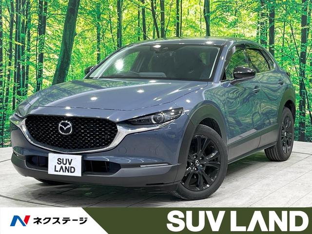 ＸＤ　ブラックトーンエディション　禁煙車　純正１０型ナビ　全周囲カメラ　Ｂｏｓｅサウンド　衝突被害軽減　レーダークルーズ　電動リアゲート　パワーシート　コーナーセンサー　スマートキー　ＬＥＤヘッド　ＥＴＣ　オートハイビーム