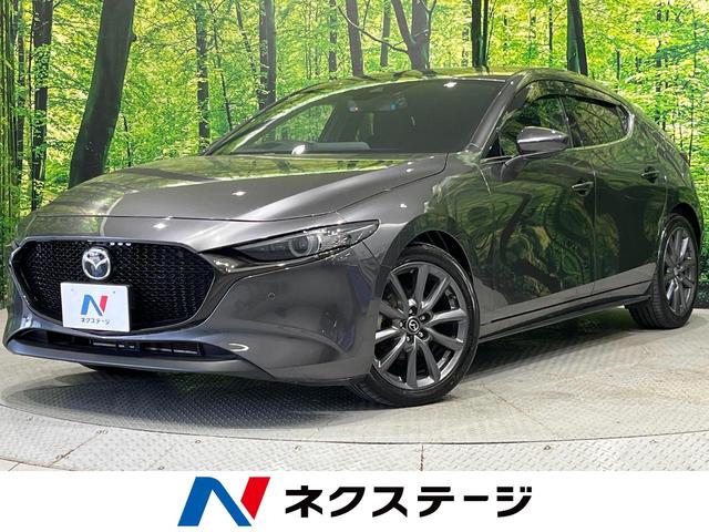２０Ｓプロアクティブ　純正８．８型ナビ　バックカメラ　スマートブレーキサポート　レーダークルーズ　ブラインドスポットモニター　コーナーセンサー　ＬＥＤヘッド　スマートキー　革巻きステアリング　パドルシフト　オートエアコン