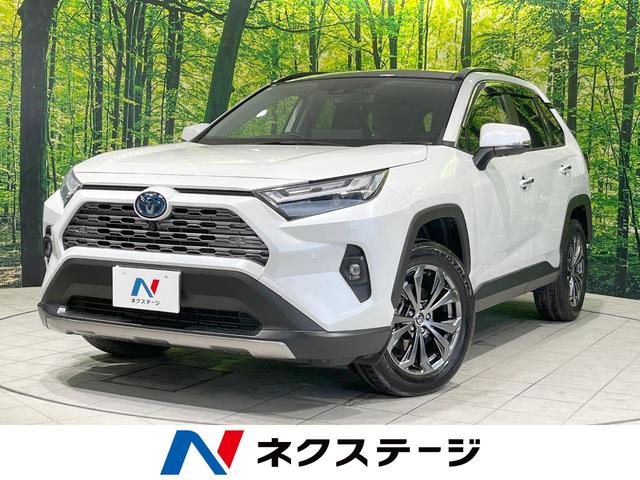 ＲＡＶ４(トヨタ) ハイブリッドＧ　４ＷＤ　サンルーフ　純正９型ＤＡ　全周囲カメラ　デジタルミラー　ＥＴＣ 中古車画像