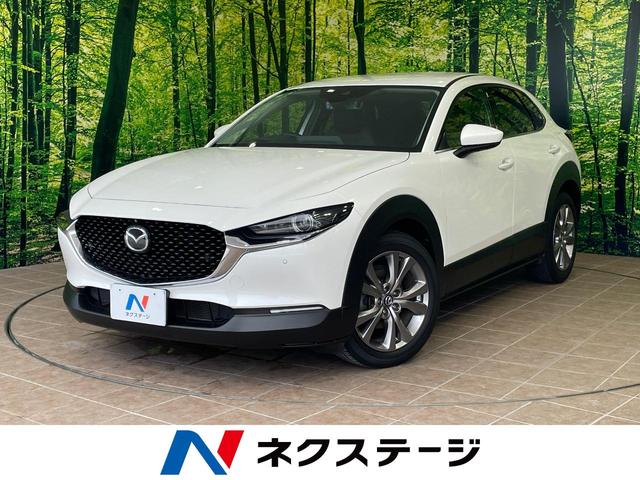 ２０Ｓ　プロアクティブ　１年保証付　禁煙車　衝突軽減装置　全周囲カメラ　マツダコネクト８．８インチ　フルセグＴＶ　ＥＴＣ　ドライブレコーダー　Ｂｌｕｅｔｏｏｔｈ再生　レーダークルーズコントロール　クリアランスソナー