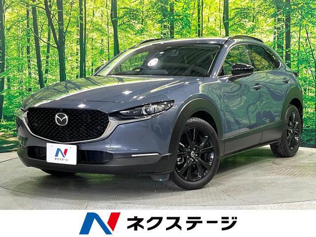 ＸＤ　ブラックトーンエディション　４ＷＤ　ターボ　全周囲カメラ　ＢＯＳＥサウンド　電動リアゲート　シートメモリー機能付パワーシート　コーナーセンサー　クルーズコントロール　ＬＥＤ　ＥＴＣ　オートハイビーム　車線逸脱警報