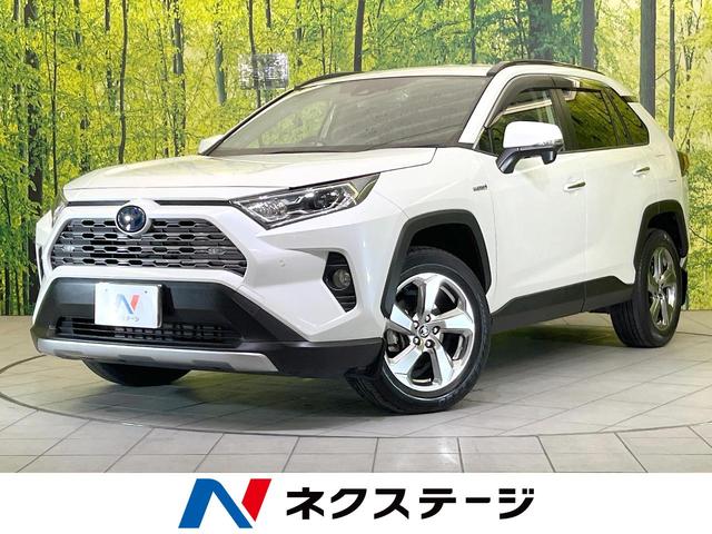 ＲＡＶ４(トヨタ) ハイブリッドＧ　純正９型ナビ　バックカメラ　電動リアゲート　プリクラッシュセーフティ　禁煙車　シートヒーター 中古車画像
