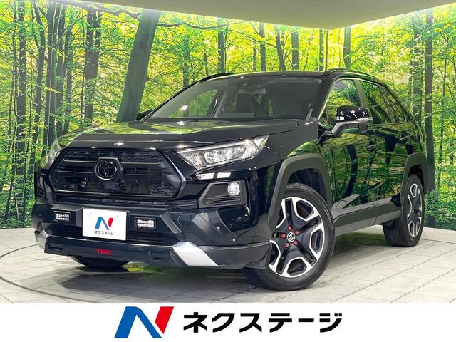 ＲＡＶ４　愛知県 ＴＲＤエアロ　純正ナビ　バックカメラ　レーダークルーズ　パワーシート