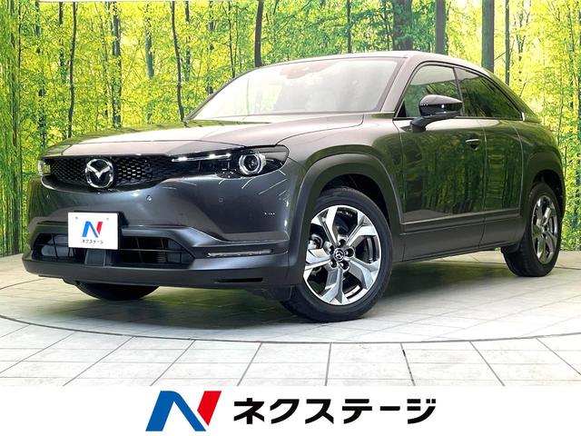 ベースグレード　全周囲カメラ　衝突被害軽減システム　レーダークルーズ　禁煙車　ドラレコ　コーナーセンサー　スマートキー　ＬＥＤヘッド　ビルトインＥＴＣ　オートハイビーム　車線逸脱警報　オートライト　デュアルエアコン