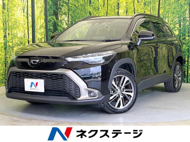 饯θ ѥΥޥ롼աǥץ쥤ǥϥ 1