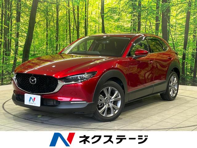 ２０Ｓ　プロアクティブ　ツーリングセレクション　純正メーカーナビ　全周囲カメラ　レーダークルーズ　禁煙車　電動リアゲート　パワーシート　ドラレコ　コーナーセンサー　スマートキー　ＬＥＤヘッド　ビルトインＥＴＣ　オートハイビーム　車線逸脱警報