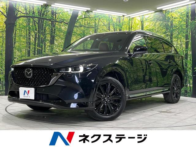 ＣＸ−８(マツダ) ＸＤ　スポーツアピアランス　ディーゼルターボ　マツダコネクトナビ　全周囲カメラ　スマートシティブレーキサポート　レーダークルーズ　パワーバックドア　本革シート　シートヒーター　パワーシート　コーナーセンサー　クリアランスソナー 中古車画像