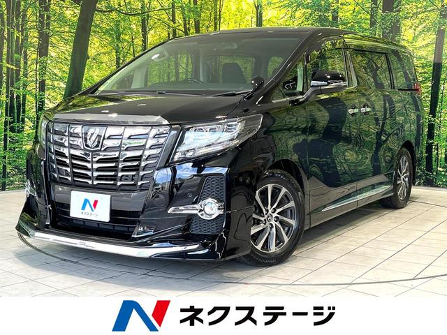 ２．５Ｓ　Ｃパッケージ　ＢＩＧ－Ｘ１１型ナビ　両側電動ドア　後席モニター　バックカメラ　衝突被害軽減システム　レーダークルーズ　電動リアゲート　コーナーセンサー　スマートキー　ＬＥＤヘッド　ビルトインＥＴＣ　オートハイビーム