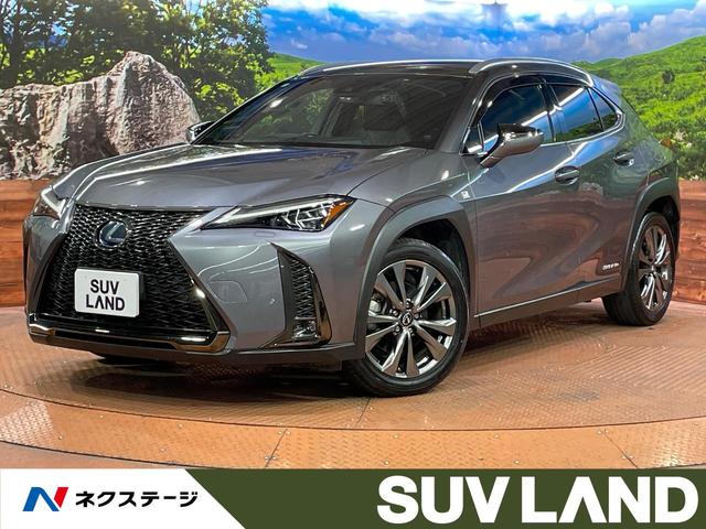 ＵＸ２５０ｈ　Ｆスポーツ　４ＷＤ　純正ナビ　バックカメラ　衝突被害軽減システム　レーダークルーズ　禁煙車　電動リアゲート　レザーシート　ドラレコ　コーナーセンサー　スマートキー　ＬＥＤヘッド　ＥＴＣ２．０　オートハイビーム