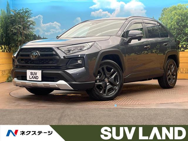 ȥ西 ң֣ ɥ٥㡼롼աģХå