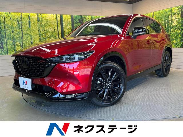 ＣＸ−５(マツダ) ２５Ｓ　スポーツアピアランス　純正１０インチナビ　アラウンドビューモニター　レーダークルーズ　ブラインドスポットモニター　シートヒーター　革シート　禁煙車　ＥＴＣ　ドラレコ　パワーバックドア　パワーシート　ハンドルヒーター 中古車画像