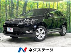 ȥ西ϥꥢ쥬󥹡롼աʥӡХå