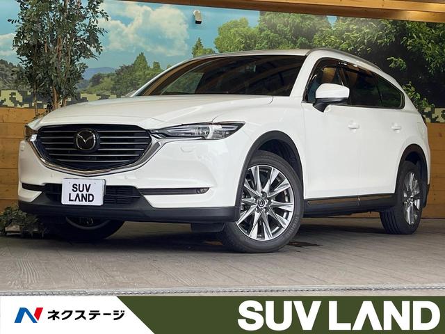 ＣＸ－８ ＸＤプロアクティブ　Ｓパッケージ　４ＷＤ　純正８インチナビ　全周囲カメラ　衝突被害軽減システム　レーダークルーズ　禁煙車　電動リアゲート　本革シート　シートベンチレーション　純正１９インチアルミ　ドラレコ　パワーシート　ＬＥＤヘッド（1枚目）