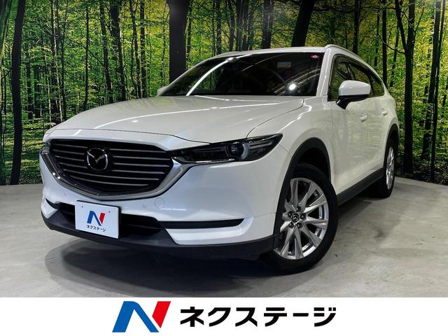 ＣＸ－８　埼玉県 ターボ　７人乗り　純正ＳＤナビ　ＢＯＳＥサウンド　ルーフレール