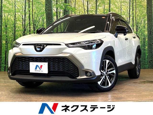 ȥ西 饯 ϥ֥åɡڡѥΥޥ롼աʥ