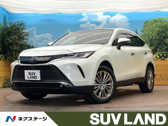 ȥ西 ϥꥢ ڡ饹롼աʥӡϥ