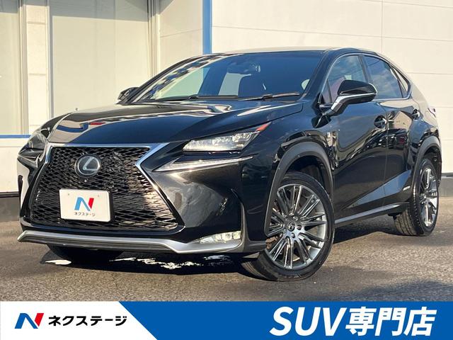 ひろさん専用　4点まとめ　11月7日 レクサス NX NX300h Fスポーツ 4WD 全周囲カメラの